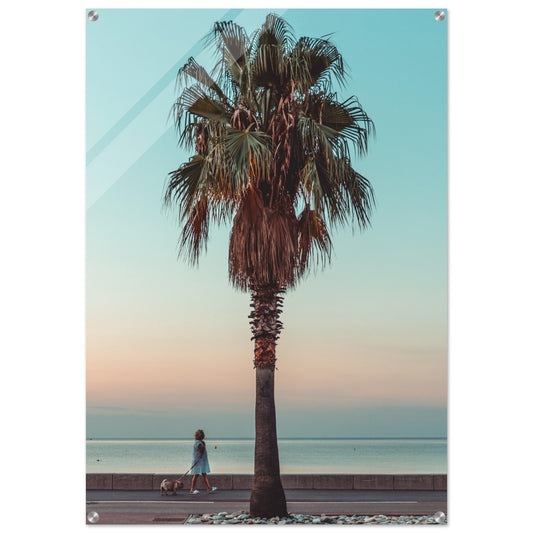 Acrylic Print of a monring in Nice