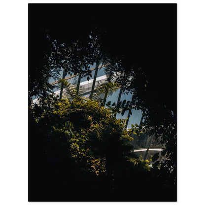 Paper Poster of the Gardens by the Bay