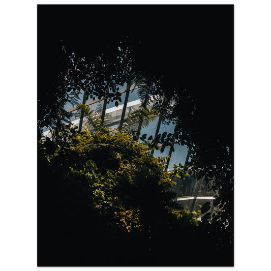Paper Poster of the Gardens by the Bay