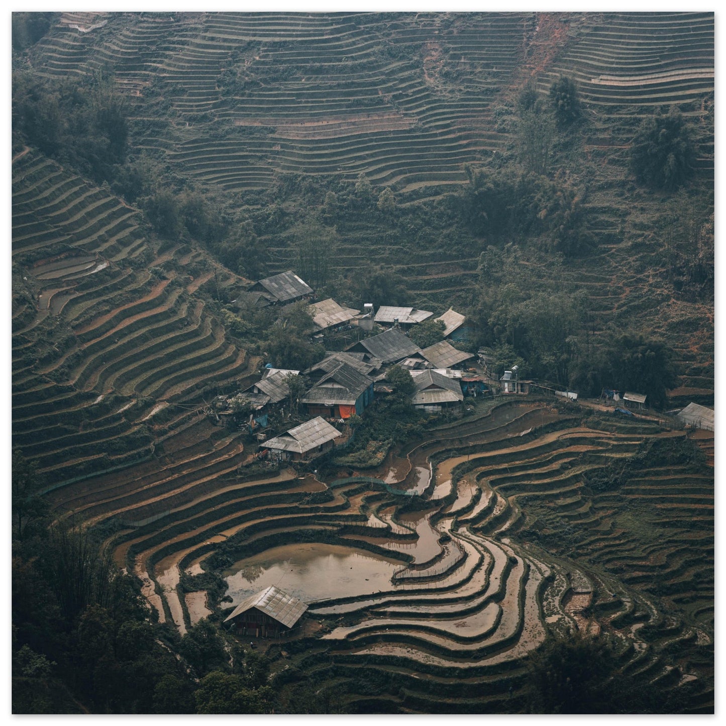 Aluminum Print of Sapa in Vietnam