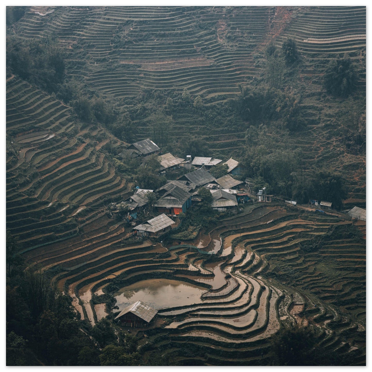 Aluminum Print of Sapa in Vietnam