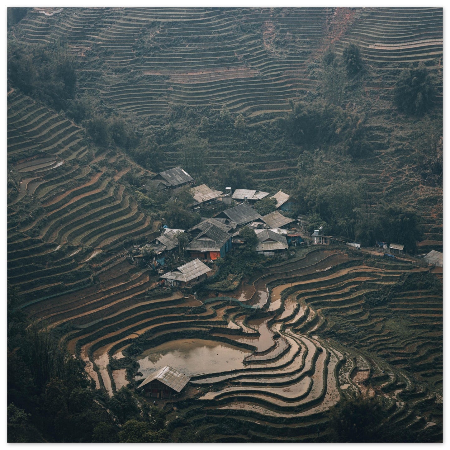 Aluminum Print of Sapa in Vietnam