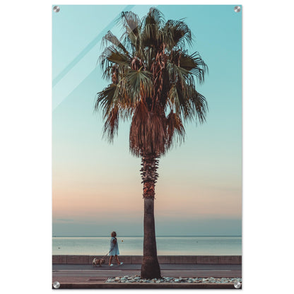 Acrylic Print of a monring in Nice