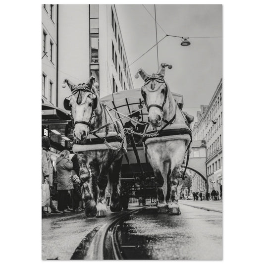 Monochrome Munich: Capturing Bavaria's Soul in Black and White - Poster 11