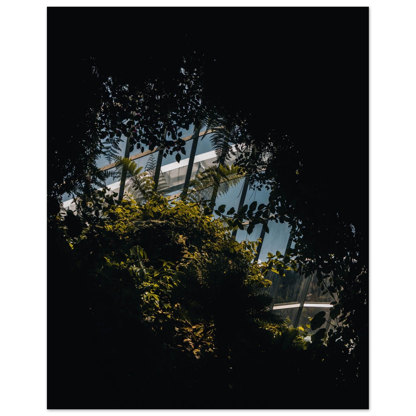 Paper Poster of the Gardens by the Bay