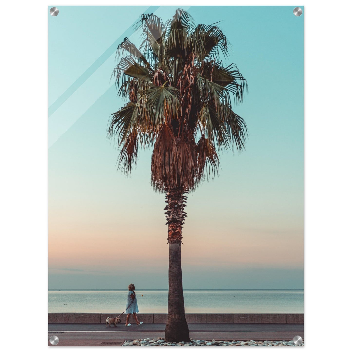 Acrylic Print of a monring in Nice