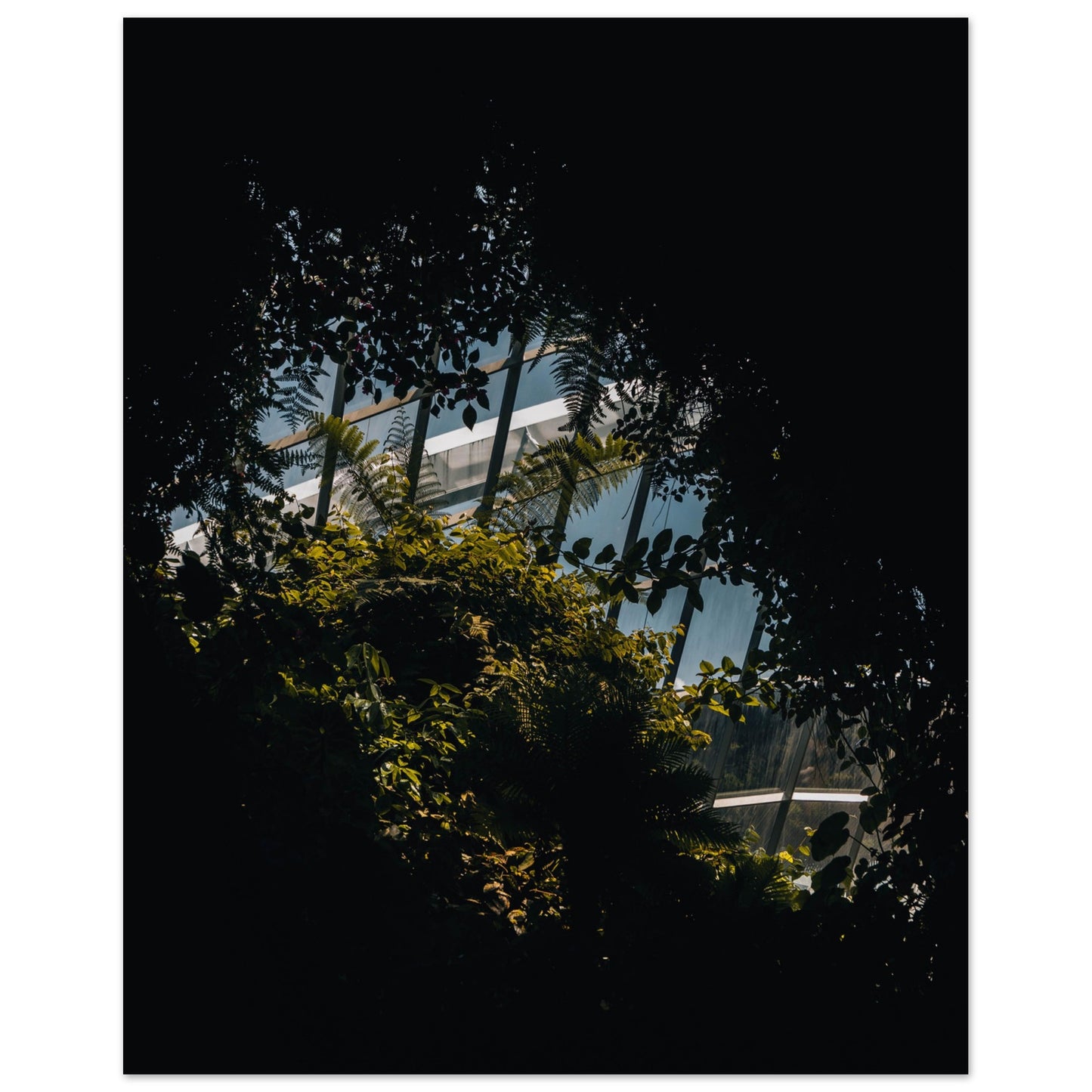 Paper Poster of the Gardens by the Bay